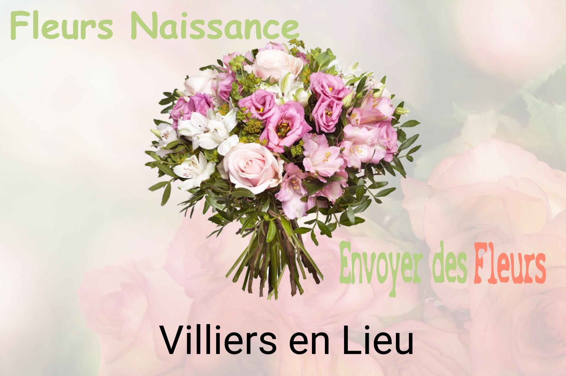 Bouquet de fleurs de naissance livré à Villiers-en-Lieu
