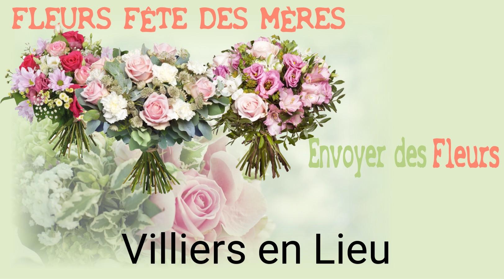 Bouquet de Fête des Mères livré à Villiers-en-Lieu